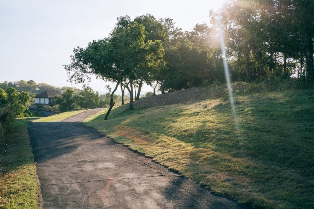 Image of Green Grass Field With Trees
