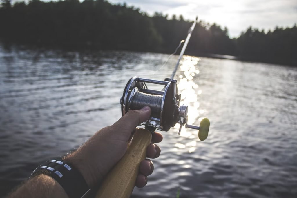 Image of fishing