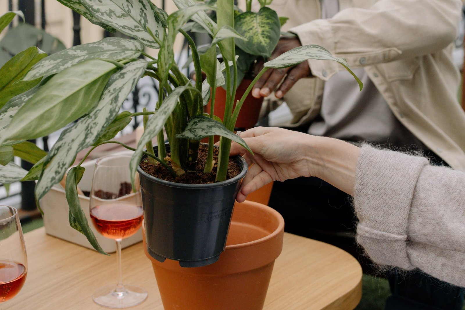 Image of Gardeners in Dana Point