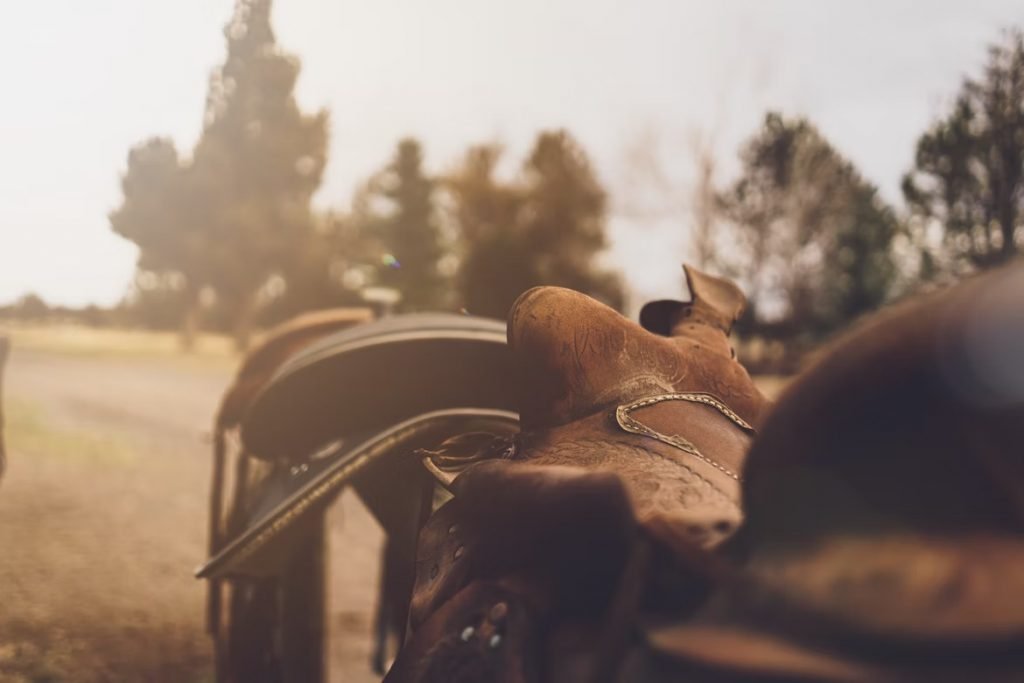 Image of Cowboy horse saddle ready to mount