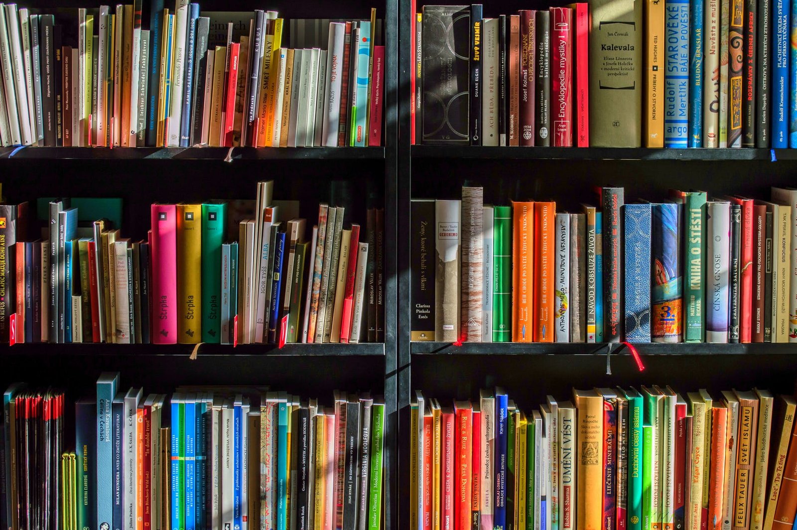 Image of Libraries in Dana Point