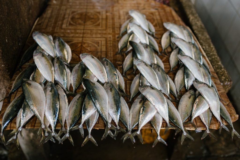 Image of Fresh fish on stall at market