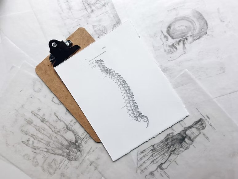 Image of Orthopedists in Dana Point