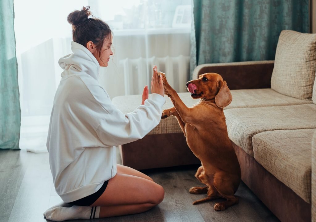 Image of Female owner playing with dog at home