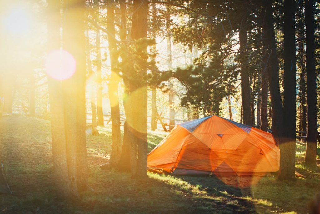 Image of Tent in Forest