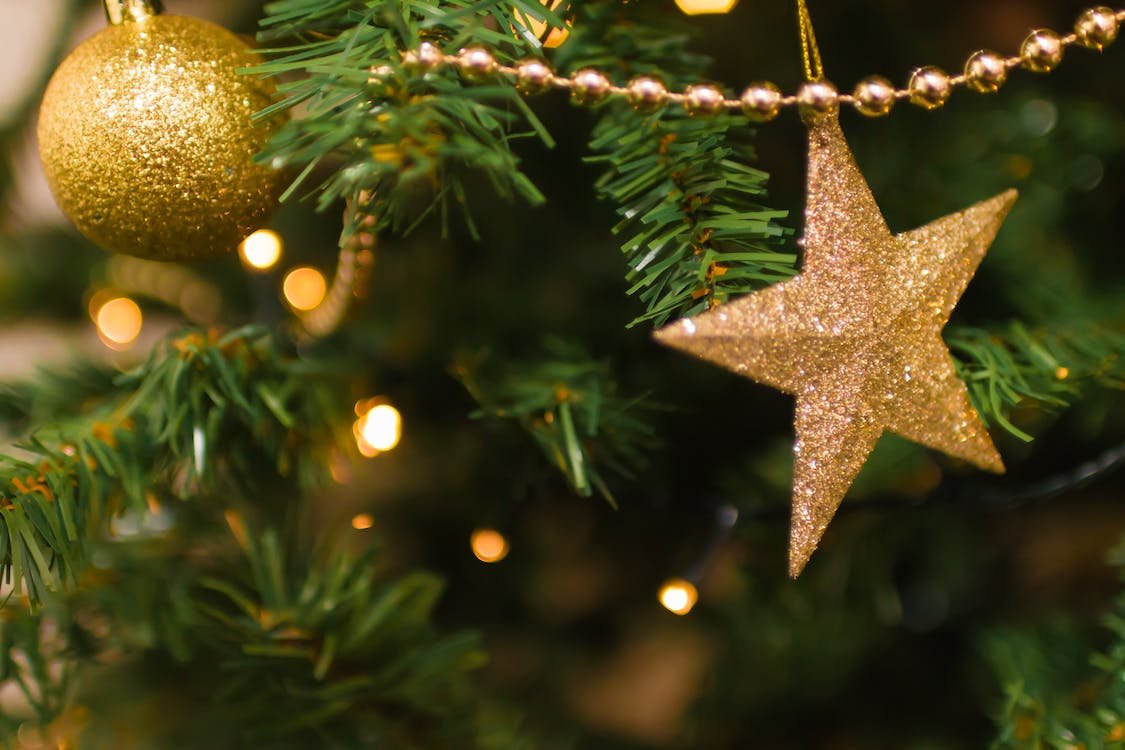 Image of La Plaza Park Tree Lighting