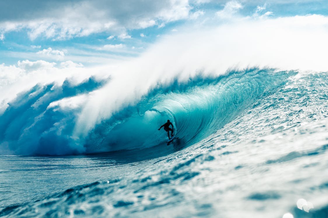 Image of Surfing Santa Contest